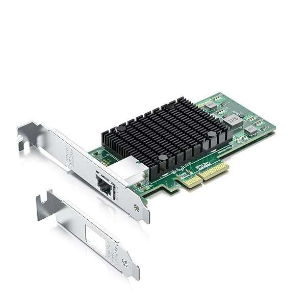 10Gtek 10Gb PCI-E NIC Network Card with Intel X550-AT2: Fast Ethernet Adapter for Windows/Linux/ESX