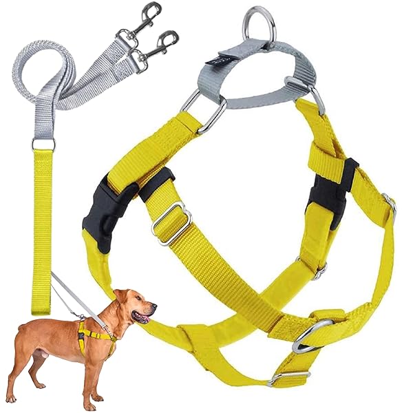 2 Hounds Design Freedom No Pull Dog Harness Adjustable Leash Set Easy Walking Comfortable Control Fits All Dog Sizes Made in USA Yellow