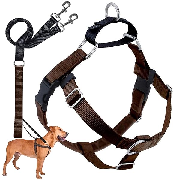 2 Hounds Design Freedom No Pull Dog Harness Adjustable Leash Set for Easy Walking Comfortable Control Fits All Dog Sizes Made in USA Brown