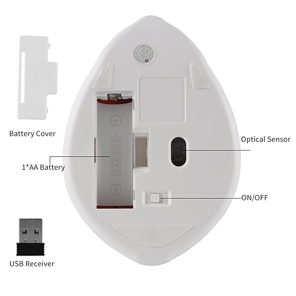 2.4GHz Cute Hamster Wireless Mouse - Quiet, Portable, 1200DPI USB Optical Mice for PC, Laptop, Kids & Gifts - Image 8