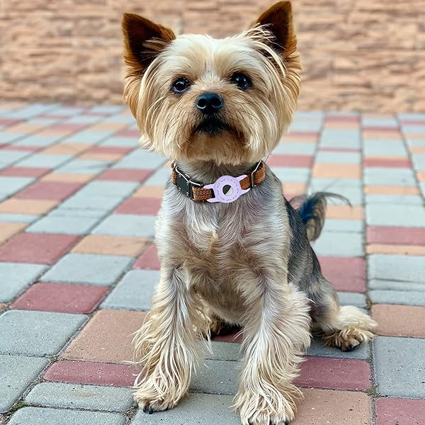 3-Pack Silicone AirTag Cat Collar Holders - Anti-Lost Cases for Dogs & Cats in Pink, Green & Purple - Image 4