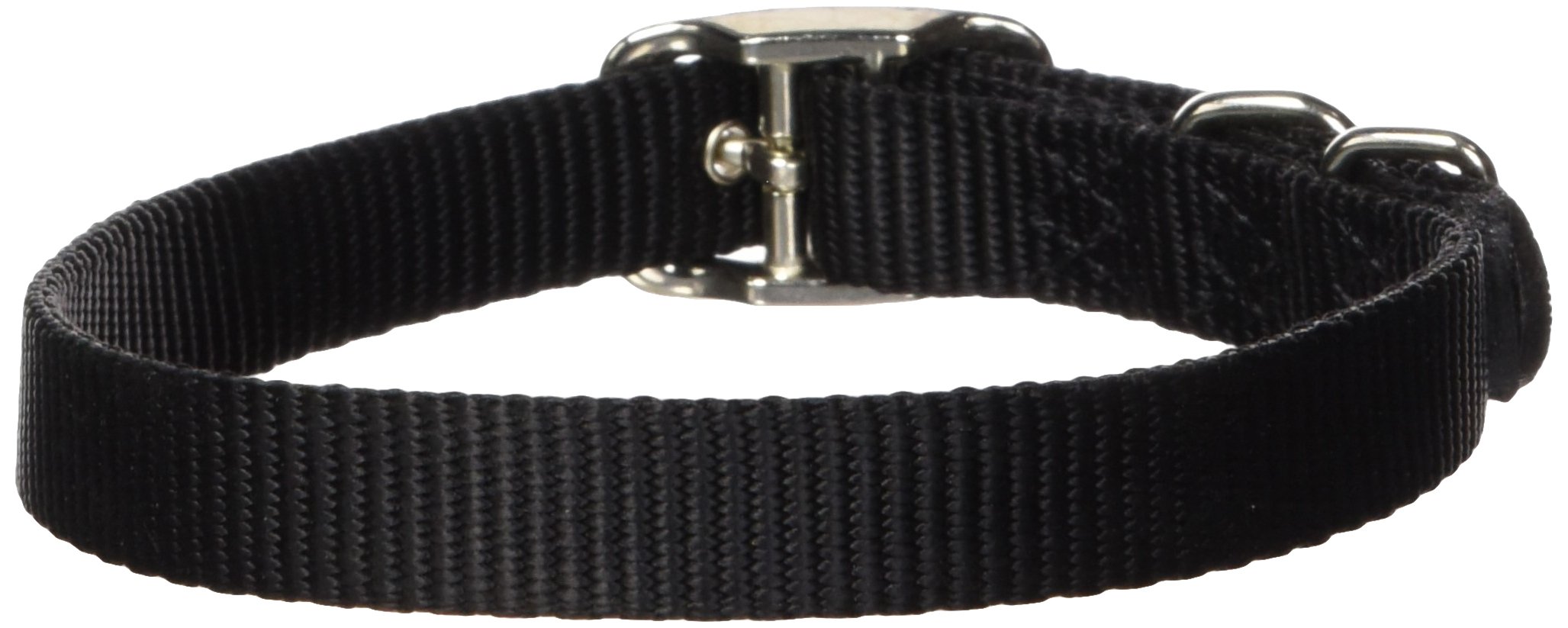 Buy Hamilton 5/8-Inch Nylon Deluxe Dog Collar - 18-Inch, Black | Durable & Stylish Pet Accessory