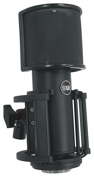 Warm Audio Skylight 512 Large Diaphragm XLR Microphone with Shock Mount & Bag for Studio Recording & Podcasting - Image 3