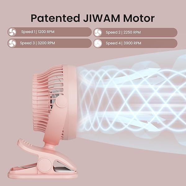 Shinebella - Image 4