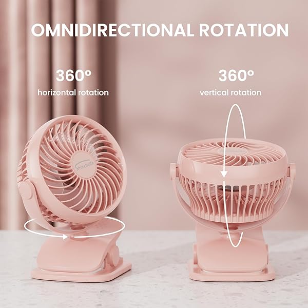 Shinebella - Image 5