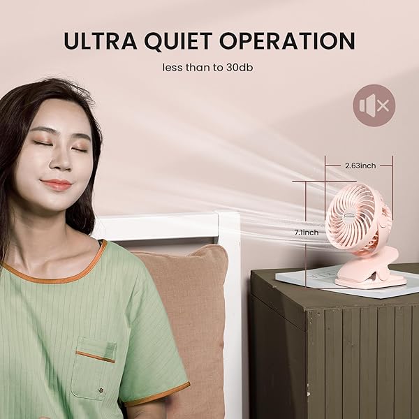 Shinebella - Image 7