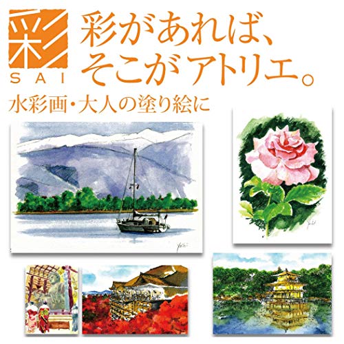 Akashiya CA200/20V Sai Watercolor Brush Pen Set - 20 Vibrant Colors for Artists - Image 8