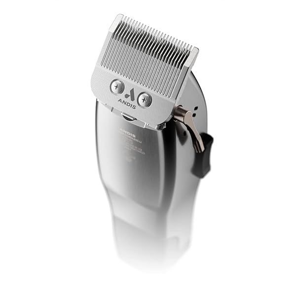 Andis - Image 3