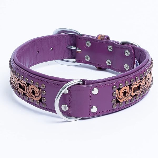Angel Pet Supplies Genuine Leather San Antonio Dog Collar for Medium Large XL Dogs Handmade with Stainless Steel Buckle Multiple Colors Sizes