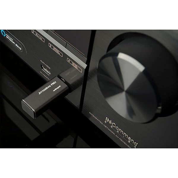 AudioQuest Jitterbug FMJ: Ultimate USB Data & Power Noise Filter for Superior Sound Quality - Image 4