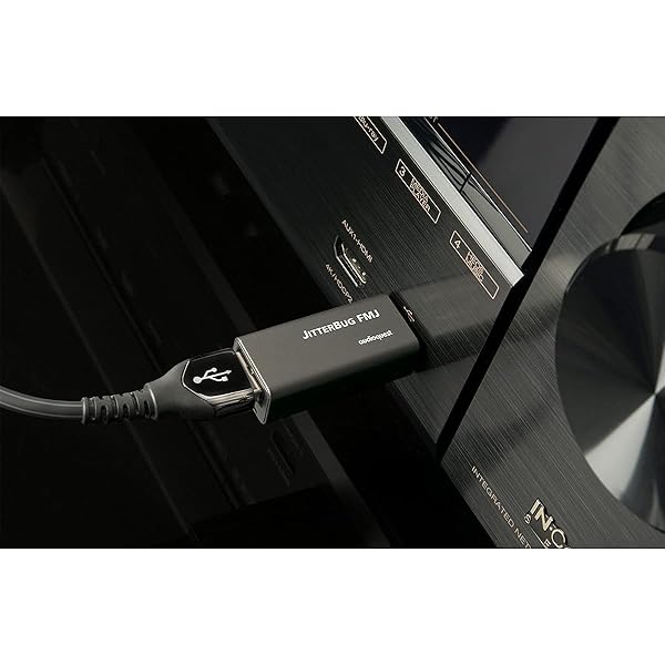 AudioQuest Jitterbug FMJ: Ultimate USB Data & Power Noise Filter for Superior Sound Quality - Image 6