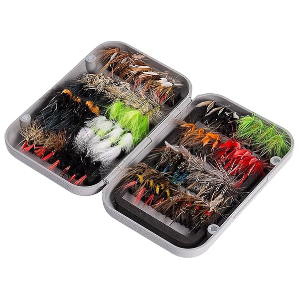 BASSDASH Fly Fishing Assorted Flies Kit 64 pcs Dry Wet Nymphs Streamers Terrestrials Leeches with Magnetic Fly Box