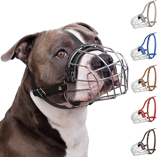 BRONZEDOG Breathable Metal Basket Muzzle for Large Pitbulls Amstaff Staffordshire Terriers Ideal for Biting Chewing and Barking