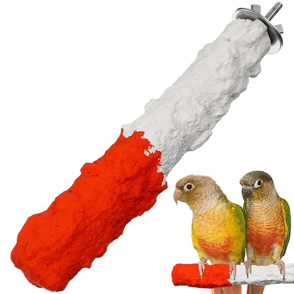Premium Bird Perches for Parrots: Cuttlebone Holders & Cage Accessories for Happy Birds
