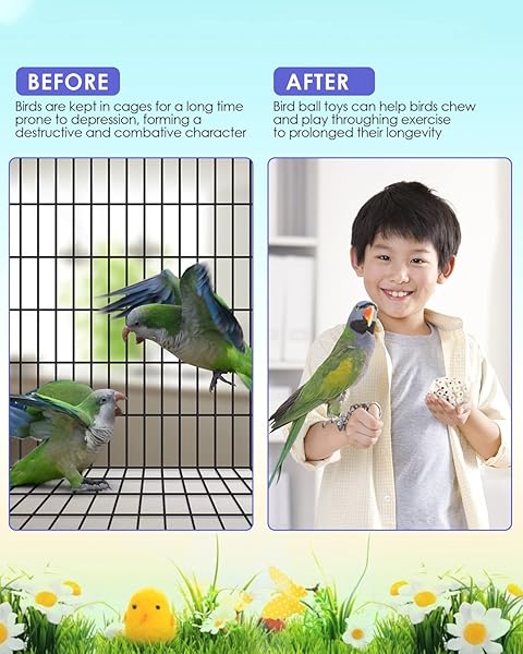 Bissap 6PCS Small Parrot Chew Toys Colorful Sola Balls for Cockatiels Conures Cockatoos Parakeets and Love Birds - Image 7