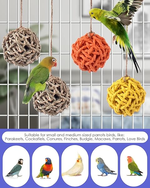 Bissap 6PCS Small Parrot Chew Toys Colorful Sola Balls for Cockatiels Conures Cockatoos Parakeets and Love Birds - Image 9