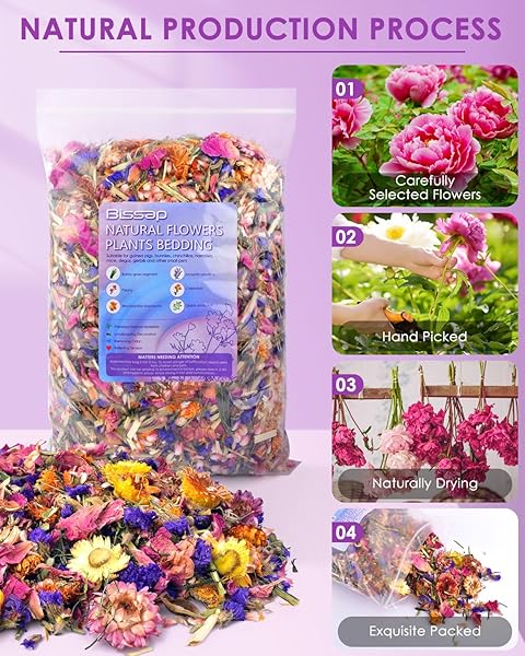 Bissap Natural Flower and Herb Hamster Bedding 300g Small Animal Habitat Decor for Hamsters Gerbils Chinchillas Mice and Degus - Image 7