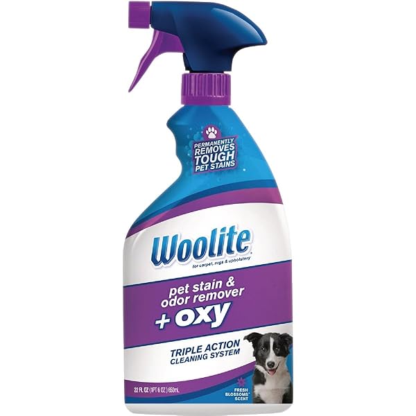 Effective Bissell Woolite Cat/Dog Odor & Stain Remover 22 oz - Eliminate Pet Messes Fast!