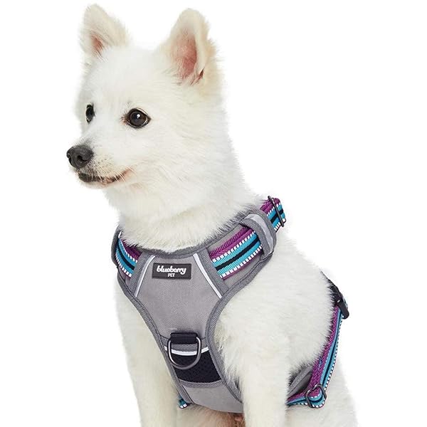 Blueberry Pet Soft Comfy Reflective Dog Harness No Pull Vest for Medium Large Dogs Multi-Colored Stripe Olive Blue-Gray
