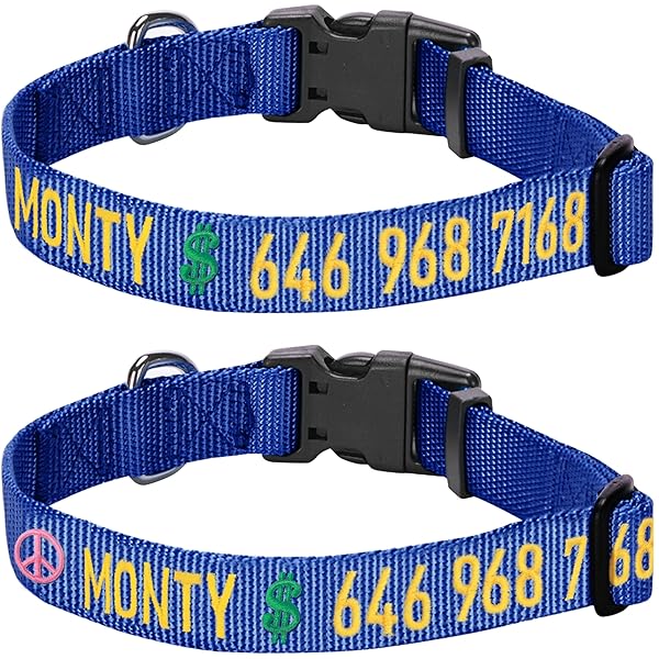 Blueberry Pet Essentials Personalized Adjustable Dog Collars for Small Dogs with Name Tag Embroidered in Royal Blue - Image 2