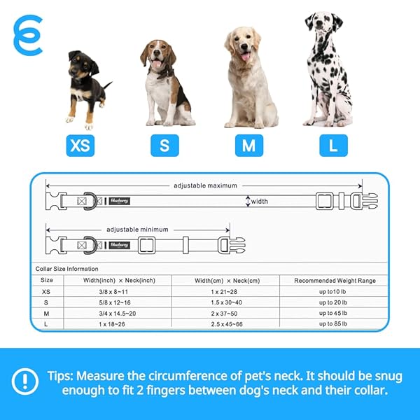 Blueberry Pet Essentials Personalized Adjustable Dog Collars for Small Dogs with Name Tag Embroidered in Royal Blue - Image 5