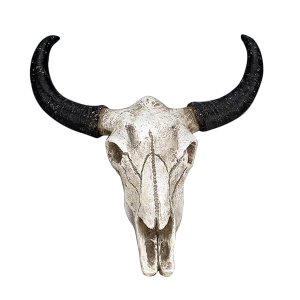 Realistic Bull Head Skull Wall Art | 3D Cow Skull Plaque for Home Decor | Unique Animal Head Sculpture