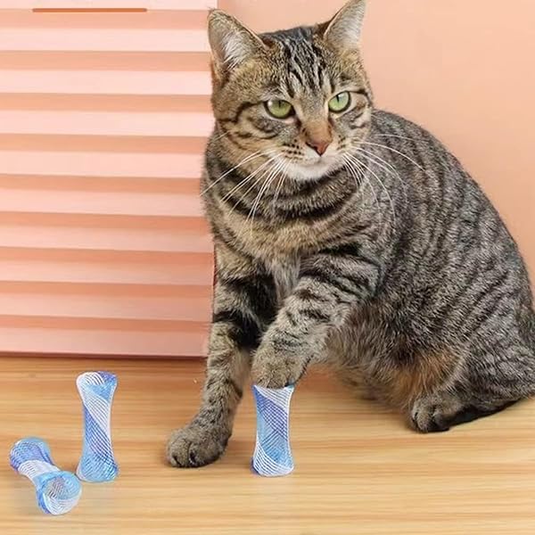10Pcs Cat Spring Tube Toy - Colorful Interactive Bouncing Toys for Fun Pet Playtime - Image 3