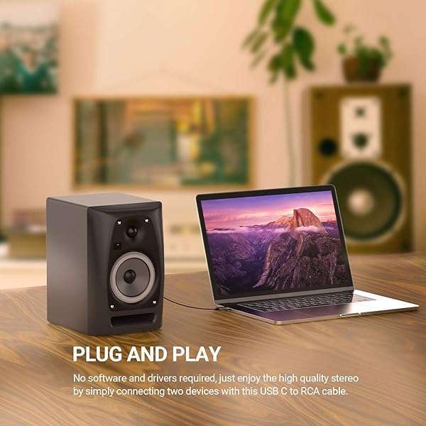 Buy Cubilux USB C to Dual RCA Audio Cable for iPhone 15, iPad, Samsung Galaxy - 3 Feet Stereo Aux Cord - Image 2