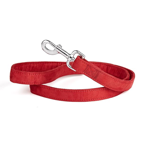 Dogline Comfort Microfiber Flat Leash for Dogs 1 Inch Wide 6 Feet Long Red