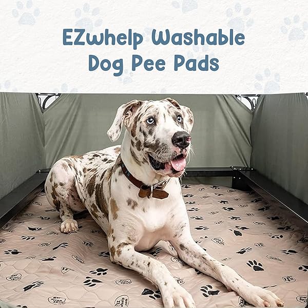 EZwhelp Reusable Dog Pee Pads Washable Waterproof Mats for Potty Training and Whelping 16.5x19.5 Inch 2 Pack - Image 2