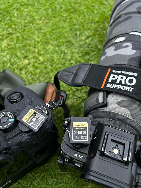 Exascend CFexpress Type A Card 120GB/180GB/240GB - 800MB/s for Sony a1, a7S III, a7 IV, FX3, FX6 - Image 9