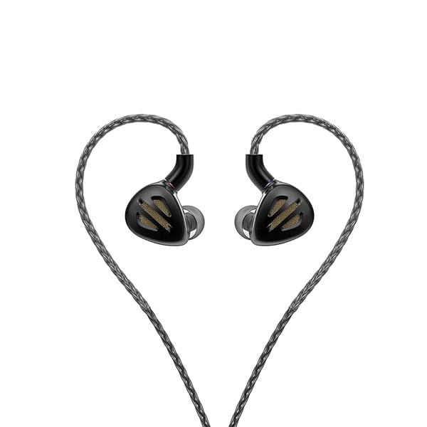 FIIO FH9 Black In-Ear Headphones: Premium Sound Quality & Comfort for Audiophiles