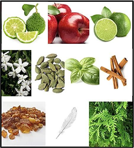 FILA BLACK for Men: Long-Lasting Spicy Floral Fragrance in Trendy 3.4 Oz Bottle - Extra Strength Scent for All-Day Wear - Image 5