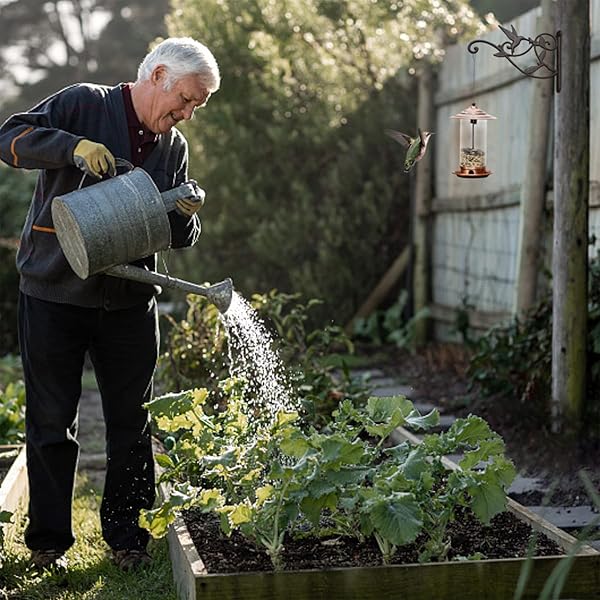 FLORWOD 2pcs Heavy Duty Plant Hangers for Outdoor Wall 10 Inch Rustic Iron Lantern Hooks Hummingbird Style - Image 8