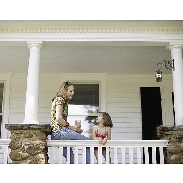 FLORWOD 2pcs Heavy Duty Plant Hangers for Outdoor Wall 10 Inch Rustic Iron Lantern Hooks Hummingbird Style - Image 9