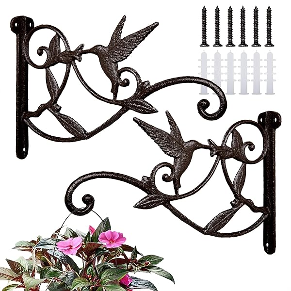 FLORWOD 2pcs Heavy Duty Plant Hangers for Outdoor Wall 10 Inch Rustic Iron Lantern Hooks Hummingbird Style