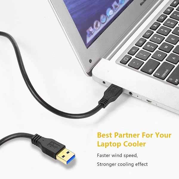 FXAVA 12FT USB to USB Cable Male to Male Type A for Fast Data Transfer Compatible with Hard Drives and Laptop Coolers - Image 5