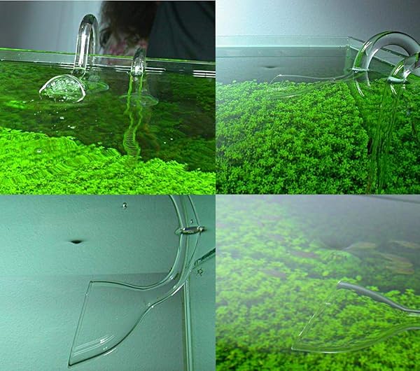 FZONE Aquatic Glass Lily Pipe Outflow Suction for Aquarium Plant and Marine Filter 1/2 inch Tubing - Image 6