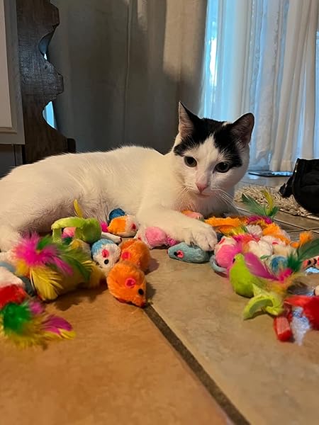 Fashion's Talk 48 Count Assorted Mice Cat Toys Furry Rattle Mouse Kitten Toy Mini Mice for Indoor Cats Interactive Play Color Varies - Image 5