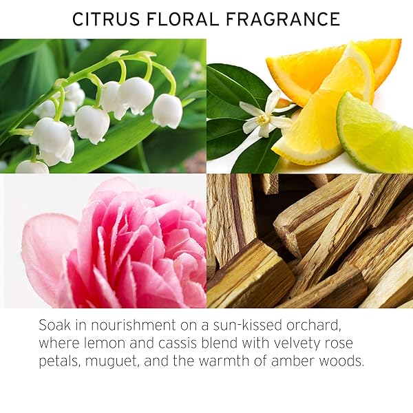 Fekkai Technician Color Shampoo 1L - Sulfate-Free, Vegan & Cruelty-Free for Vibrant Color-Treated Hair - Image 6