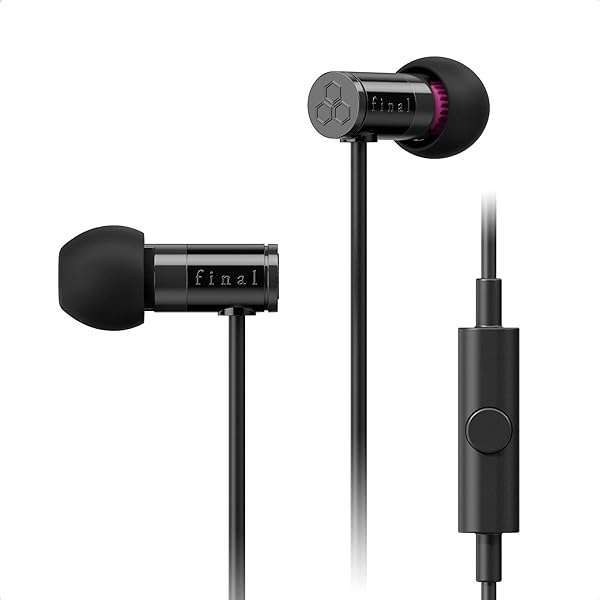 Final Audio E1000C In-Ear Headphones: Dynamic Drivers & Microphone for Superior Sound (Black)