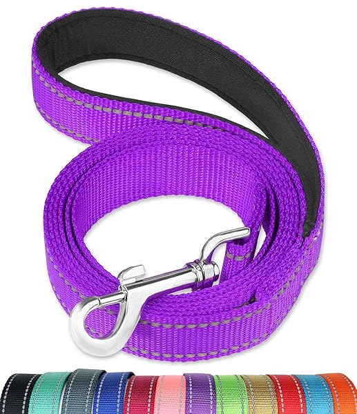 FunTags 6FT Reflective Dog Leash with Padded Handle for Large and Medium Dogs Purple - Image 2