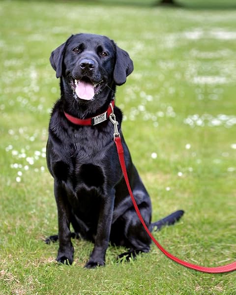 FunTags 6FT Reflective Dog Leash with Padded Handle for Large and Medium Dogs Red Training Walking Lead 1 Inch Wide - Image 6