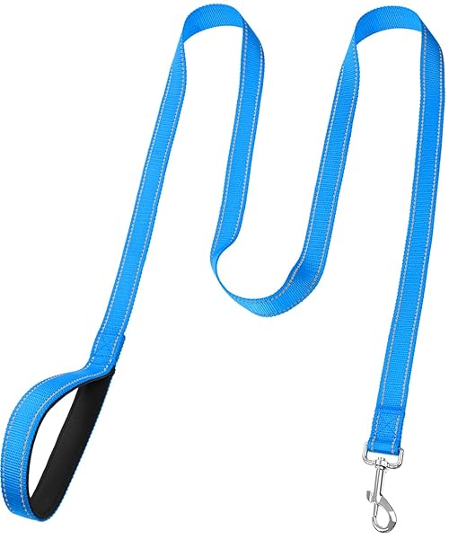 FunTags 6FT Reflective Dog Leash with Padded Handle for Large and Medium Dogs Sky Blue Training Walking Lead 1 Inch Wide - Image 3