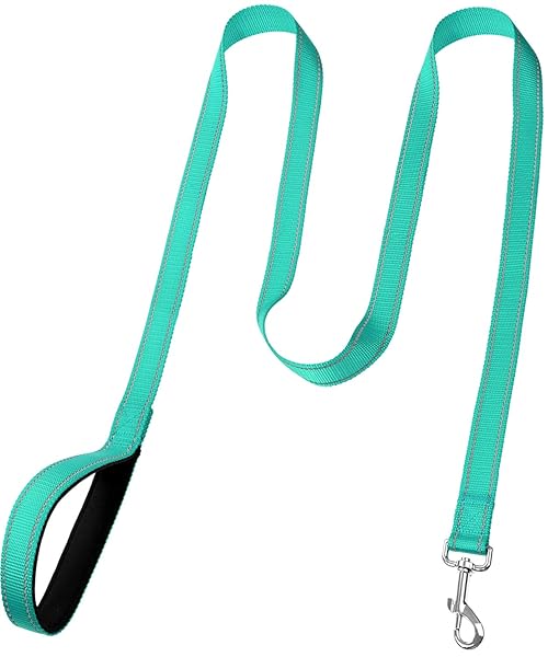 FunTags 6FT Reflective Dog Leash with Soft Padded Handle for Training and Walking in Turquoise for Large and Medium Dogs - Image 3