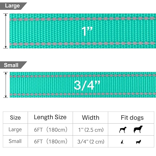 FunTags 6FT Reflective Dog Leash with Soft Padded Handle for Training and Walking in Turquoise for Large and Medium Dogs - Image 5