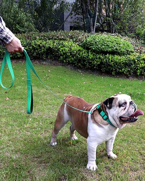 FunTags 6FT Reflective Dog Leash with Soft Padded Handle for Training and Walking in Turquoise for Large and Medium Dogs - Image 6