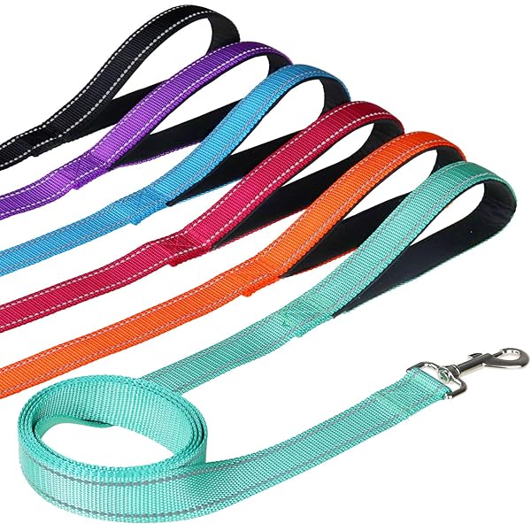 FunTags 6FT Reflective Dog Leash with Soft Padded Handle for Training and Walking in Turquoise for Large and Medium Dogs - Image 8