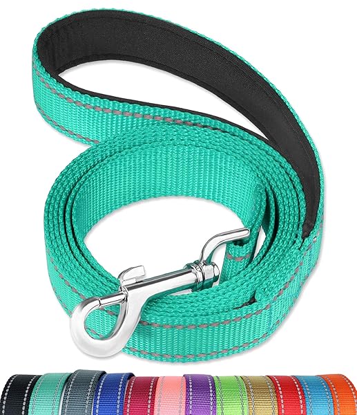 FunTags 6FT Reflective Dog Leash with Soft Padded Handle for Training and Walking in Turquoise for Large and Medium Dogs