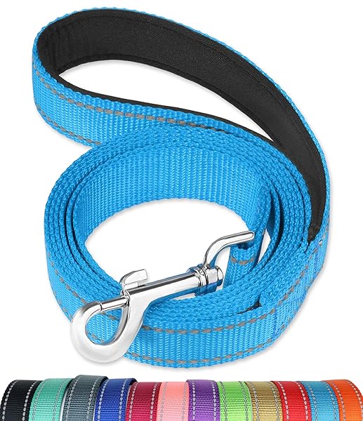 FunTags 6FT Reflective Dog Leash with Padded Handle for Training and Walking Small and Medium Dogs Sky Blue - Image 2